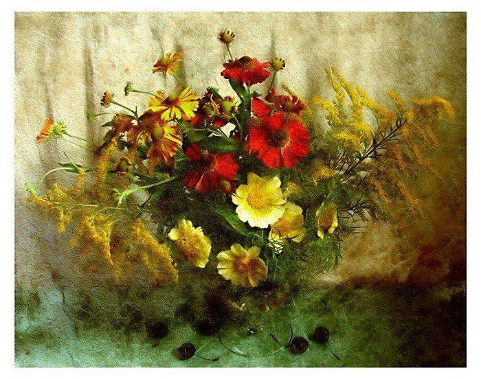 , Лариса Запатрина