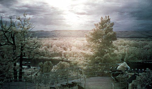 Этюд в инфракрасных тонах