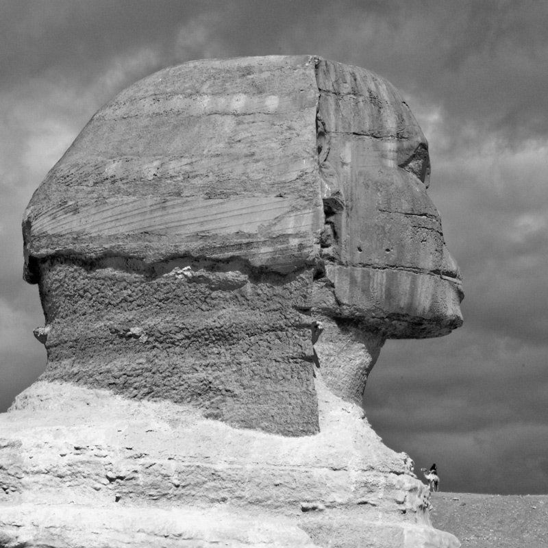 египет, сфинкс, верблюд большой и маленький фото превью