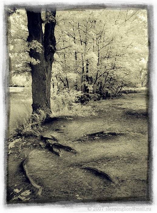 ик, пейзаж, infrared, инфракрасный, инфракрасное, pilgrim, Pilgrim