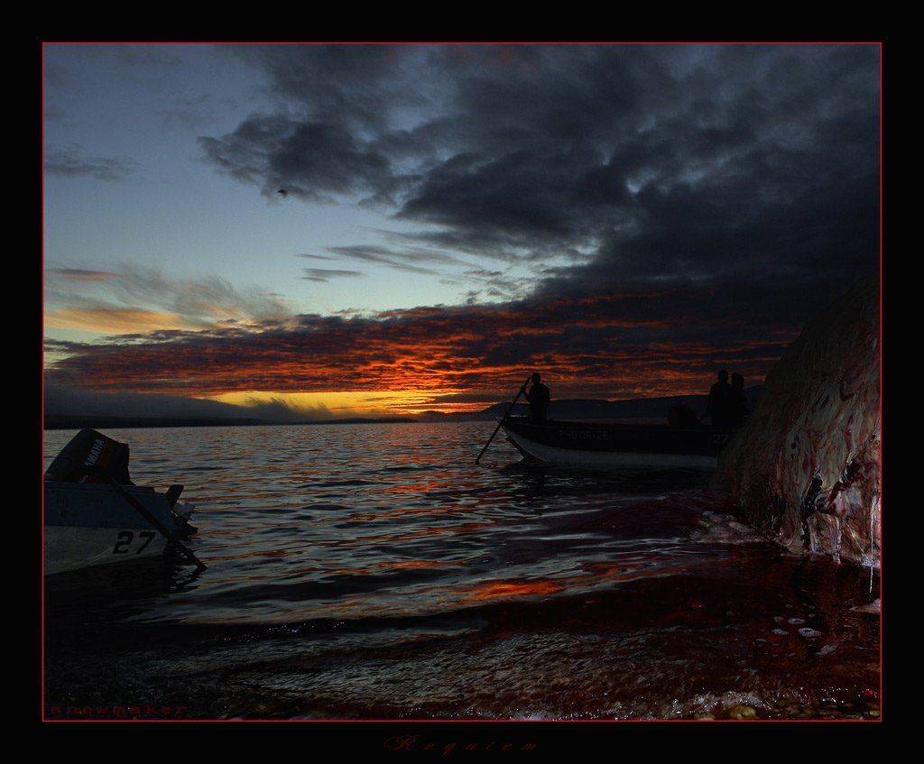 чукотка, реквием, охота на кита, кровь, закат, chukotka, requiem, blood, snowmaker, snowmaker