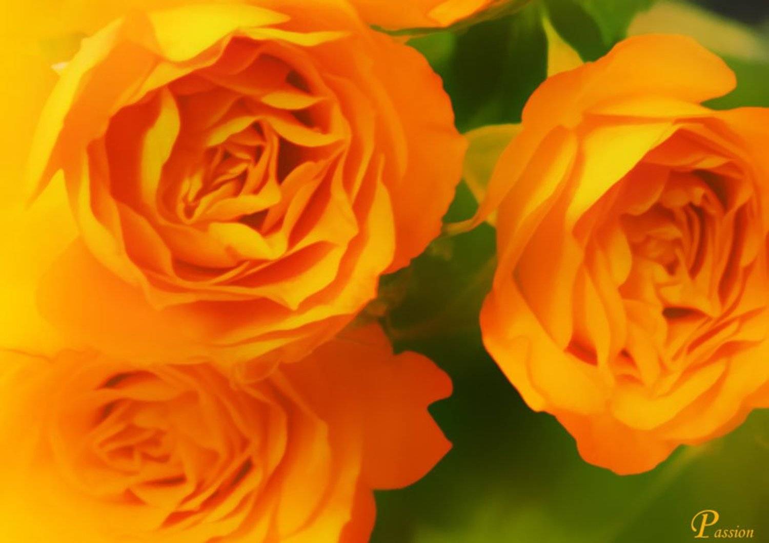 , Любовь Роктанэн