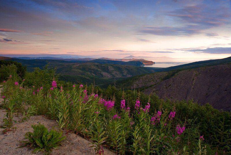 магадан, Sir Fisher