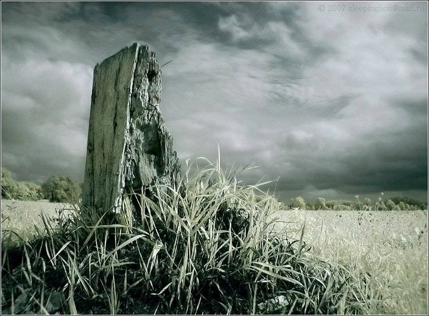 ик, пейзаж, infrared, инфракрасный, инфракрасное, pilgrim, Pilgrim