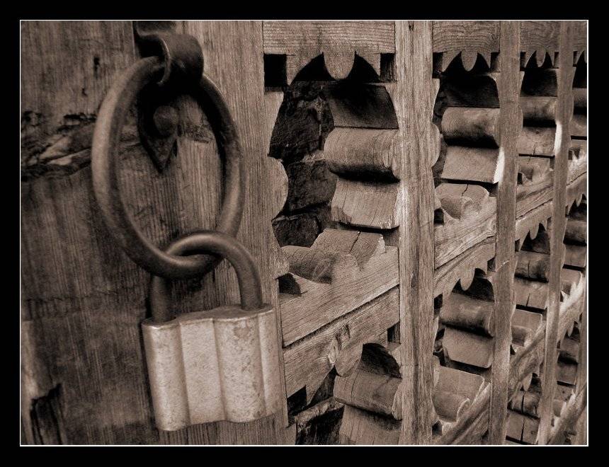 , Лунный Ежик