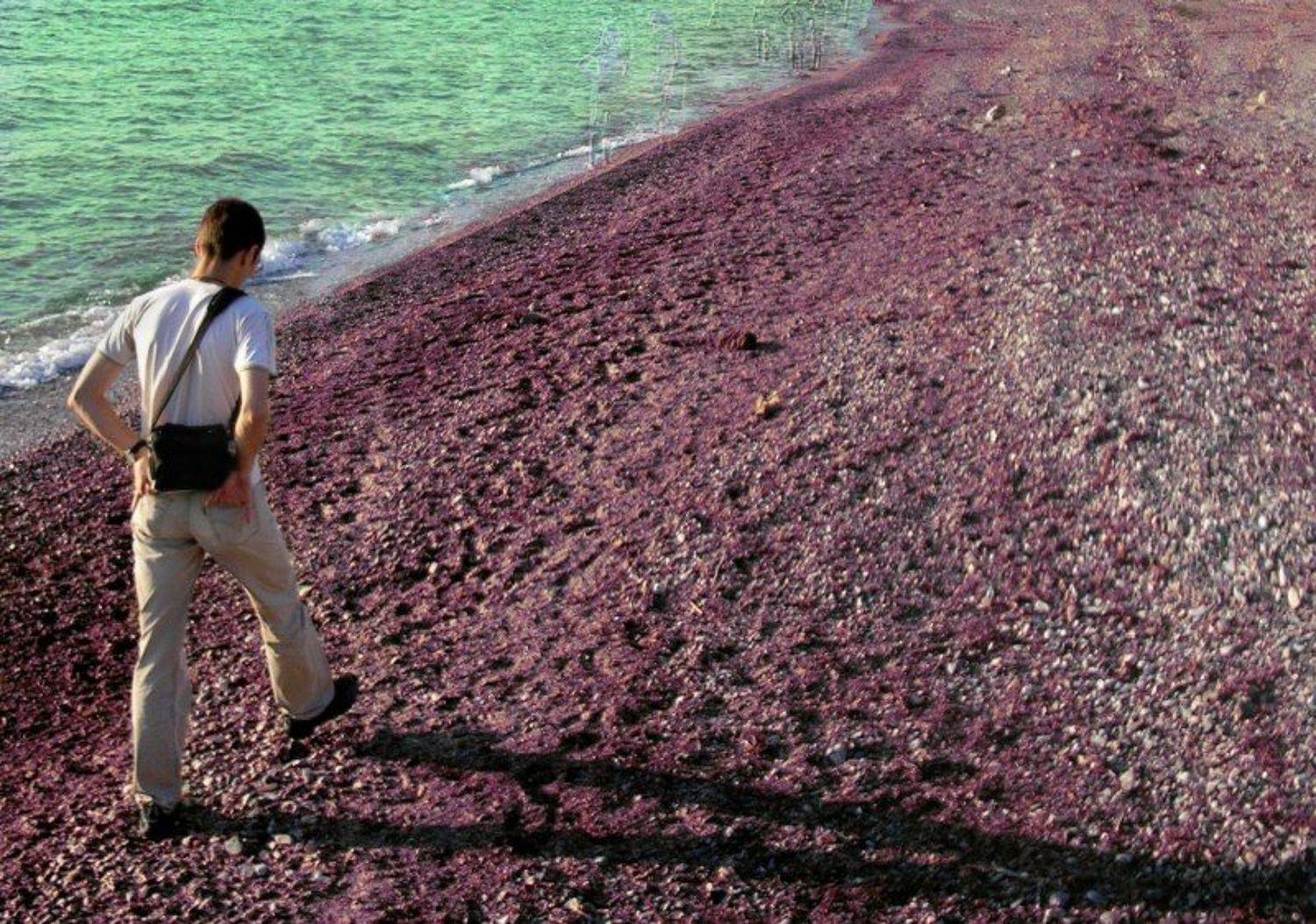 море,коллаж,человек,шаг,тень, Гусаров Андрей