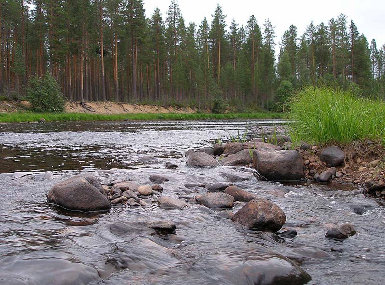 пейзаж, omskva.ru