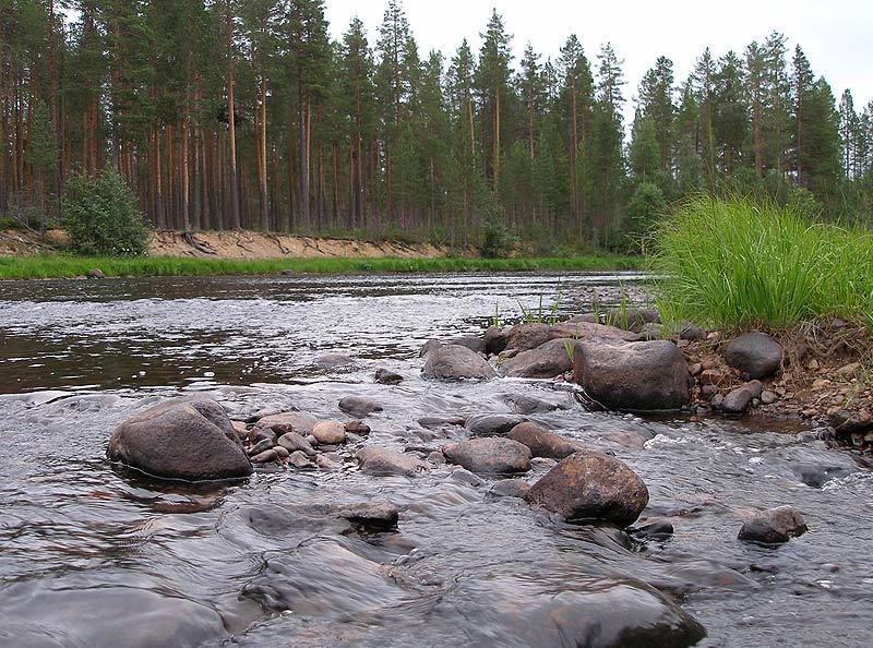 пейзаж Вода и камни. фото превью