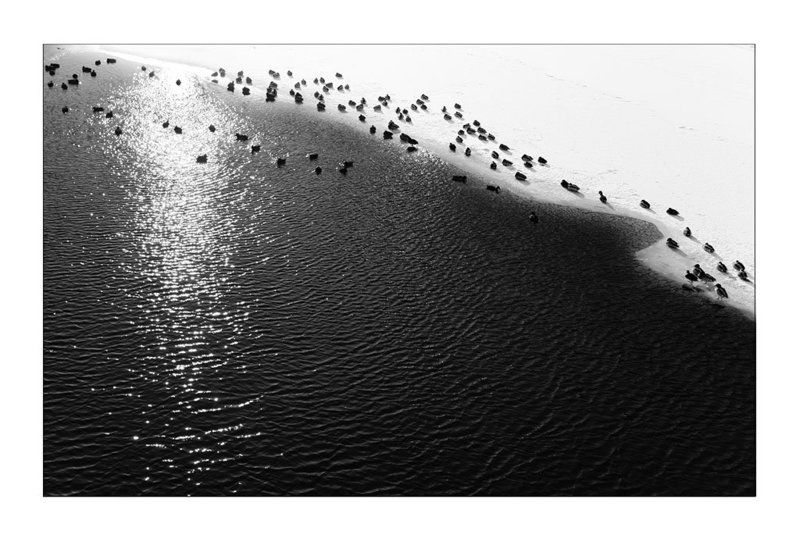 Вспоминая зиму (репост) фото превью