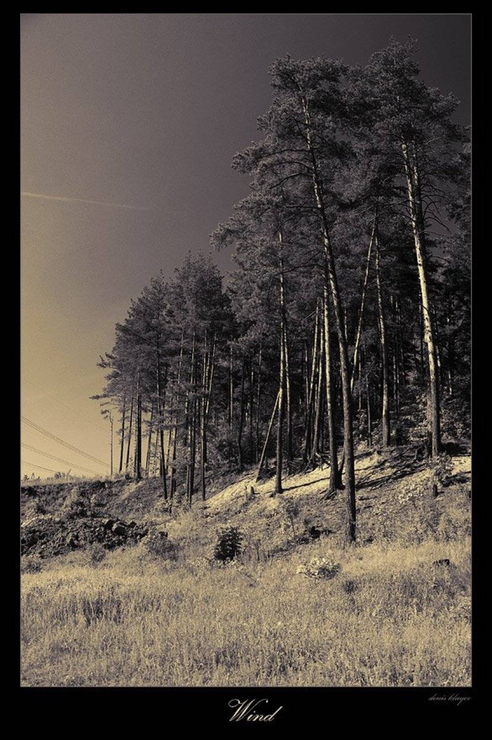 , Денис Клюев