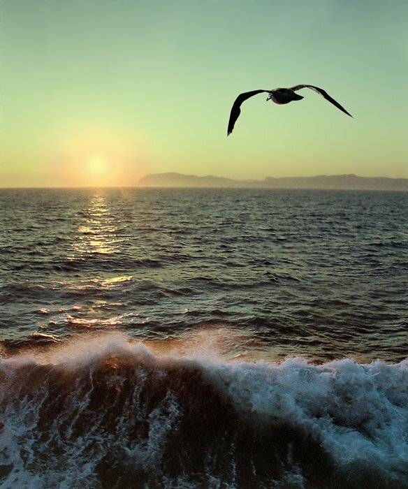 , Валерия Струнникова