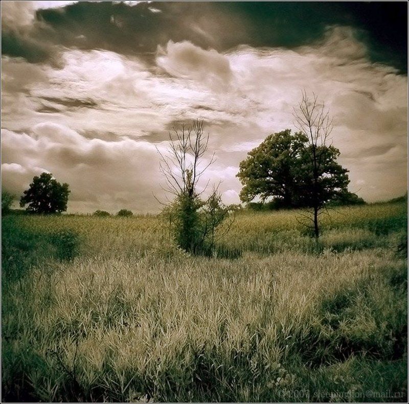 Somewhere between... фото превью