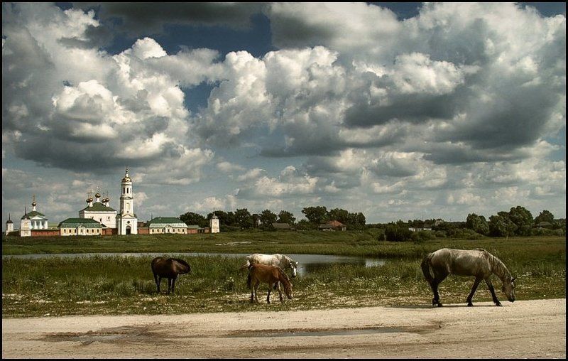 ... фото превью