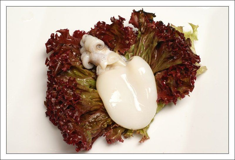 каракатица,морепродукт,натюрморт,салат,лед Каракатица на листе салата фото превью