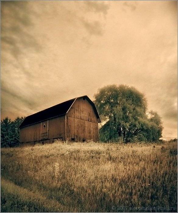 ик, пейзаж, infrared, инфракрасный, инфракрасное, pilgrim, Pilgrim