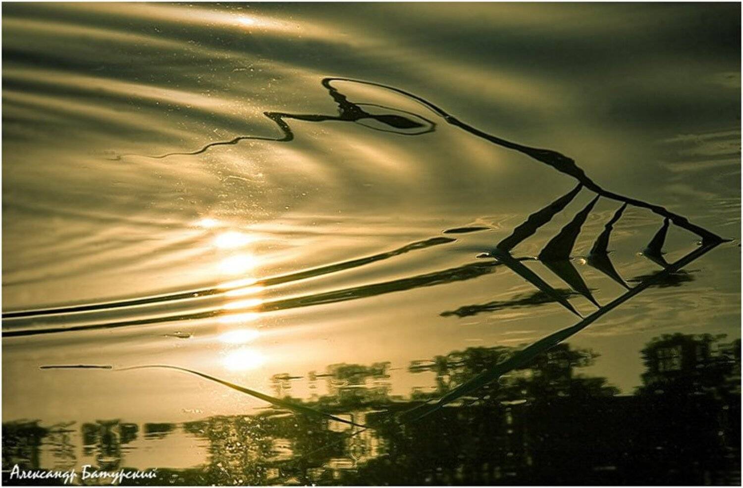 , Александр Батурский