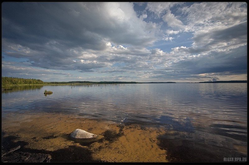 #03 фото превью