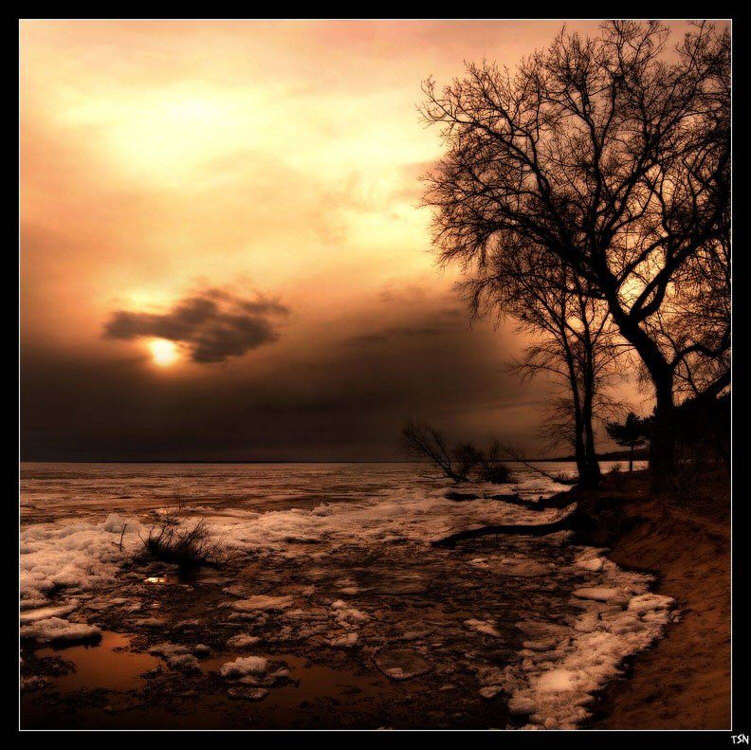 , Сергей Требунских