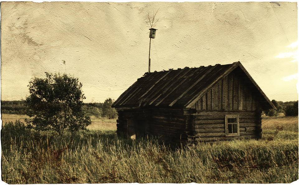 , Владимир Липецких