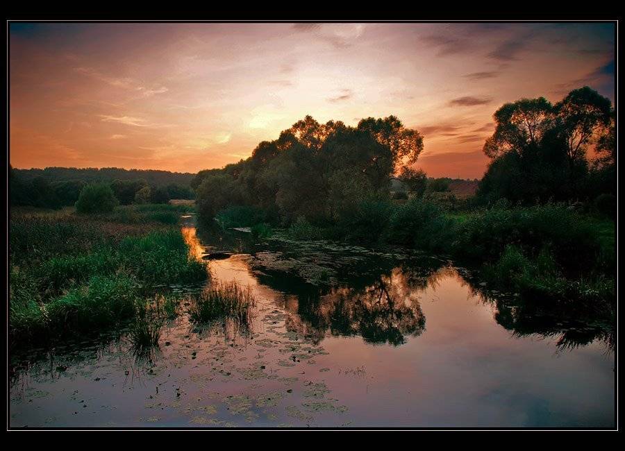 , Дмитрий Милосердов