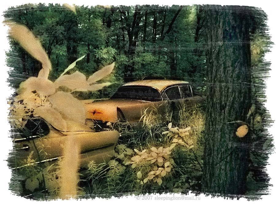 ик, портрет, infrared, инфракрасный, инфракрасное, pilgrim, Pilgrim