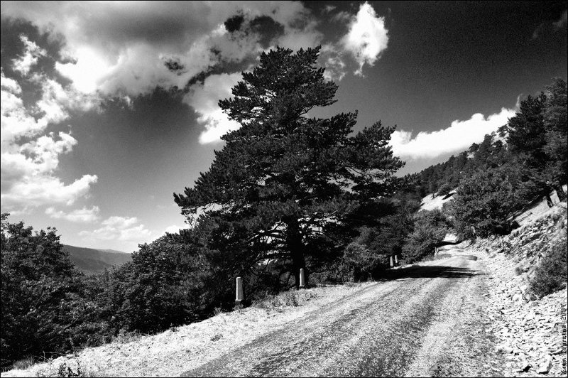 романовская, дорога Романовская дорога фото превью