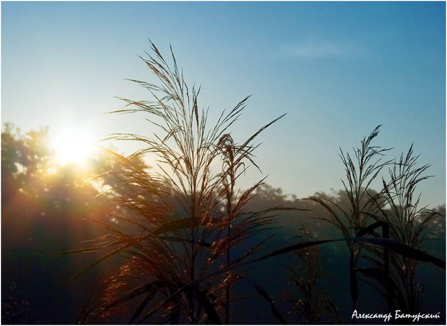 , Александр Батурский