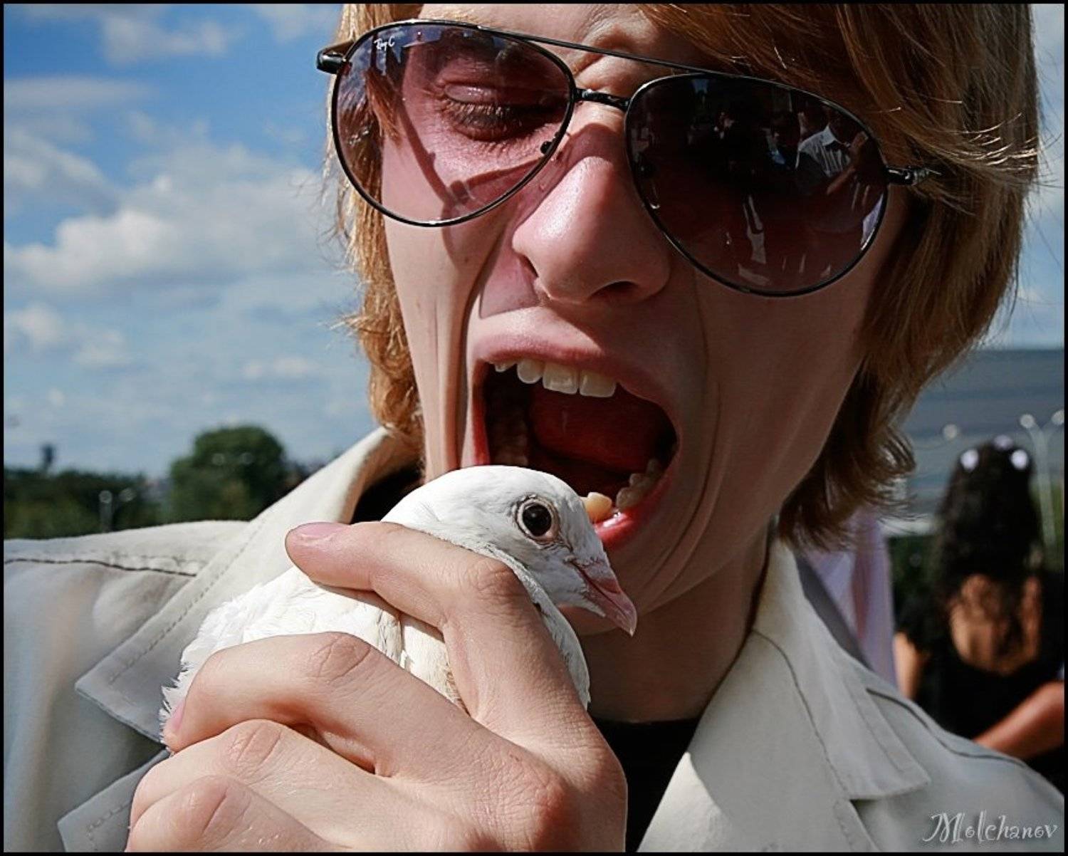 голубь, чувак, мужчина, екатеринбург, свадьба, птица, небо, облака, Молчанов Иван