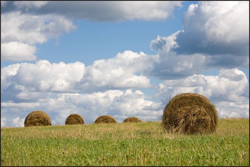 старая ладога, сено,  фото превью