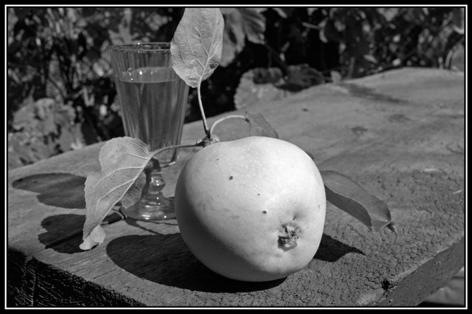 натюрморт, яблоко, Патрикеев Александр