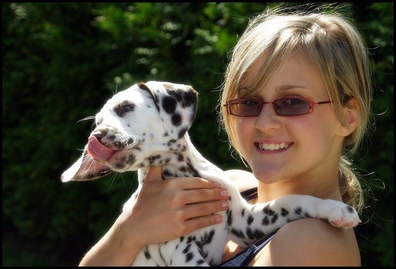 лиза, araghorn, щенки Растём! фото превью