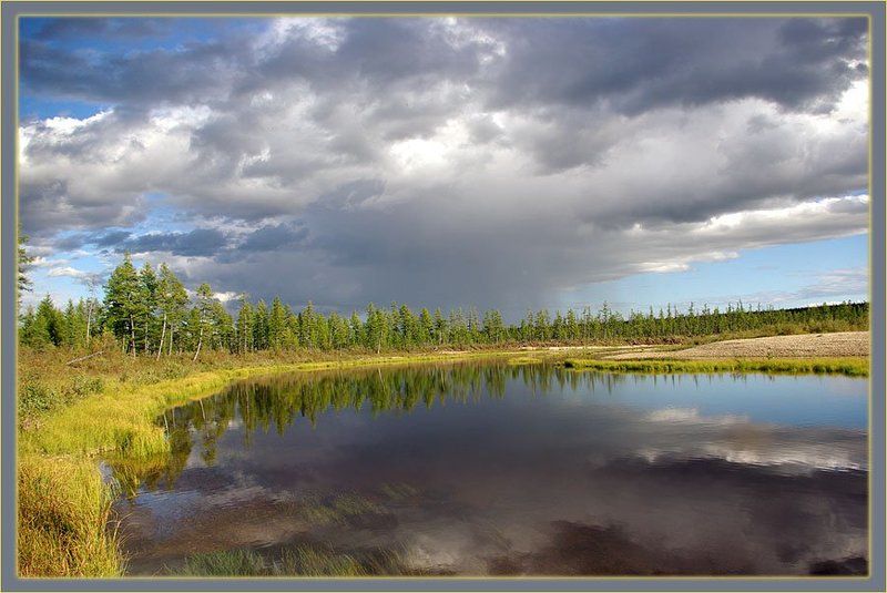 река,тайга,гроза Перед грозой фото превью