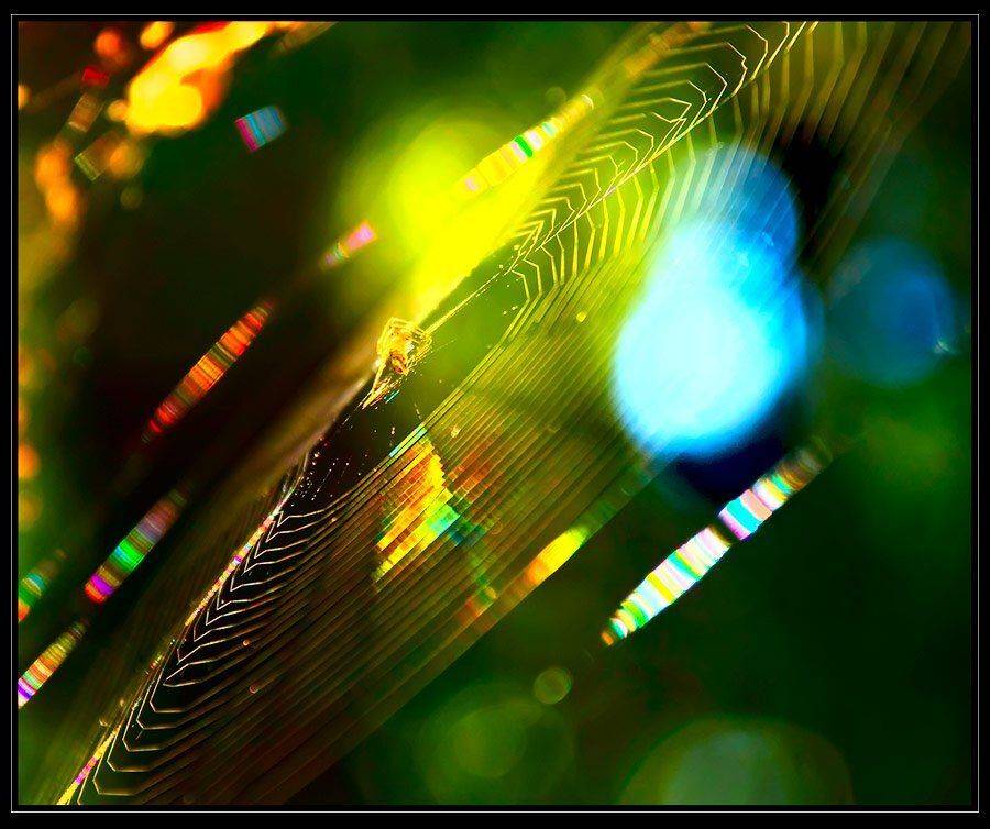 , Дмитрий Милосердов