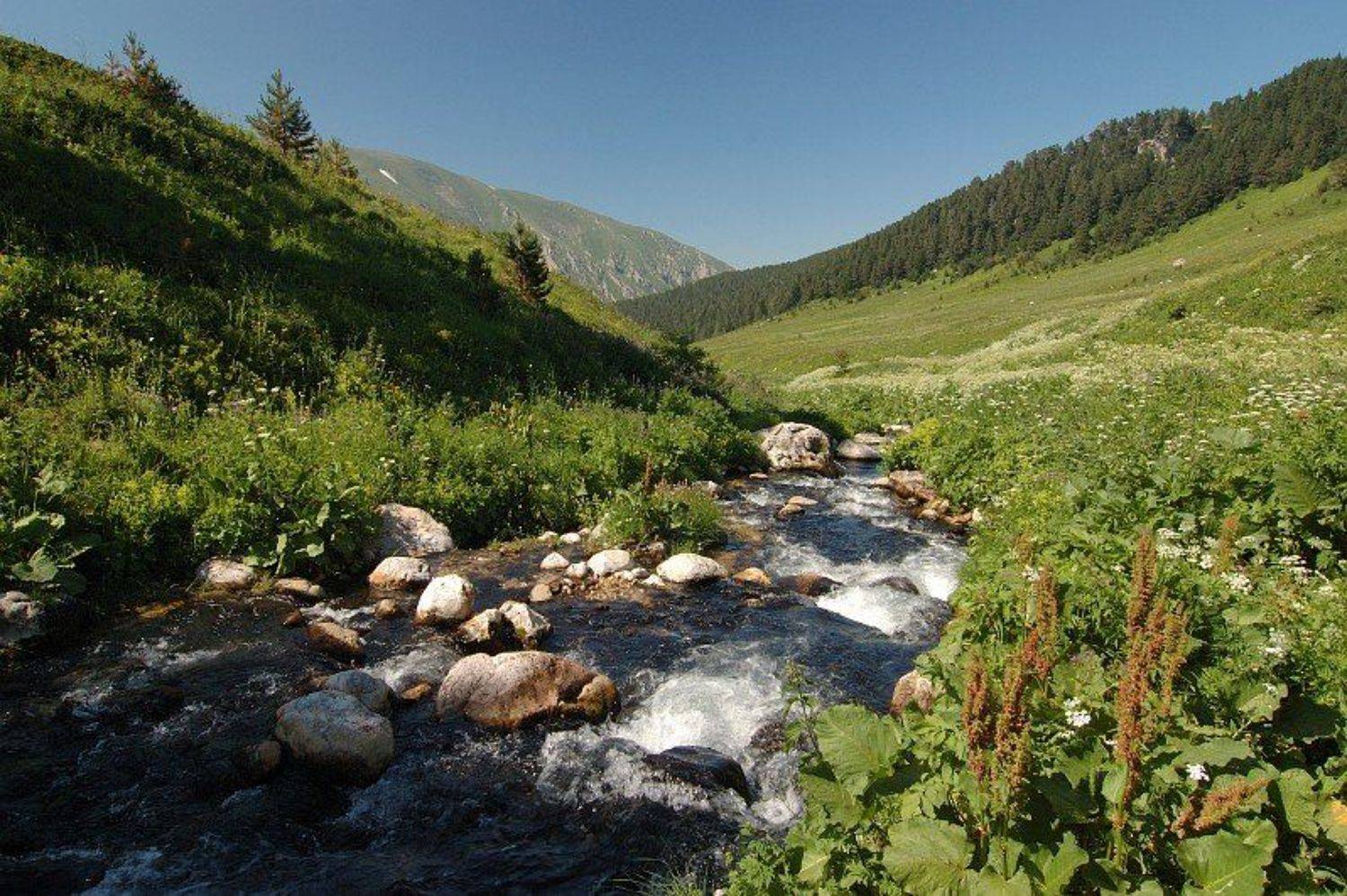 горы, краснодарский край, адыгея, речка ци-ца, пейзаж, река, закат, пороги, трава, Kaiser Sozo