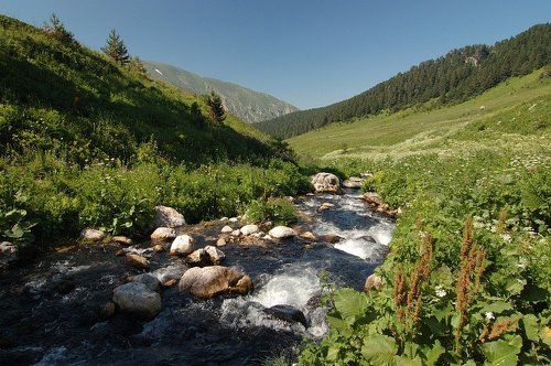 В качестве ностальгии по горам
