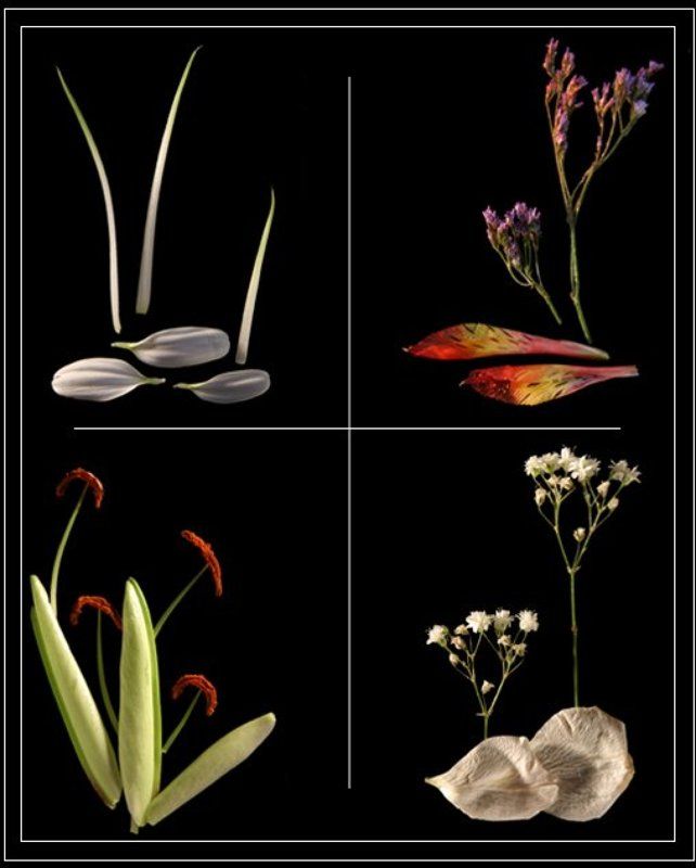 времена года seasons фото превью