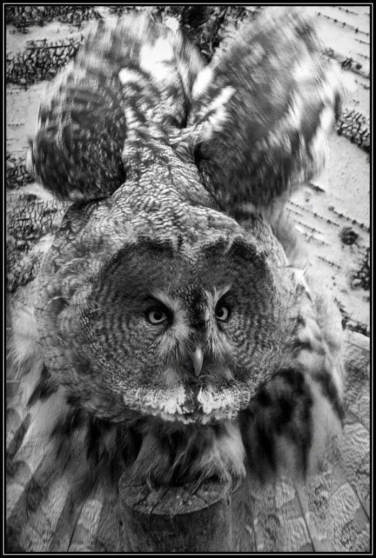 ... фото превью