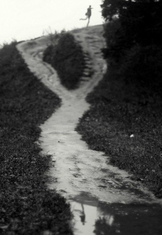 про человека который всегда хотел летать *** фото превью