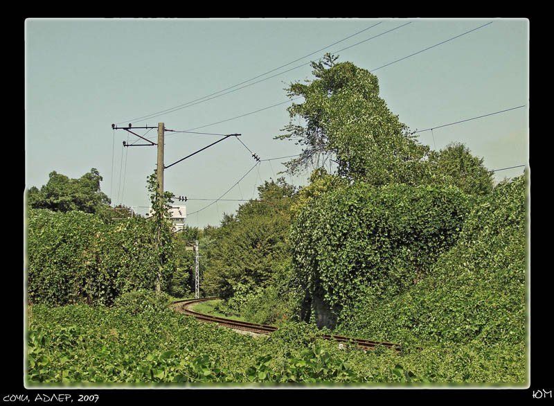 ж/д Adler-2007 фото превью