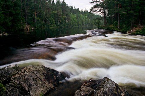Колвица. Порог Белый.