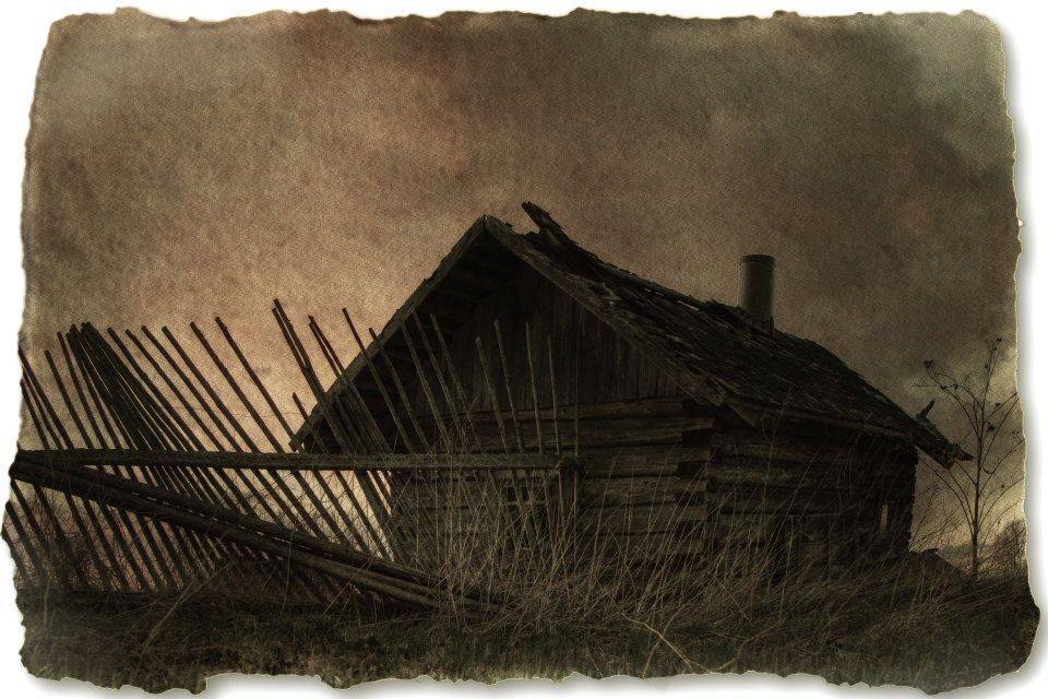 , Владимир Липецких