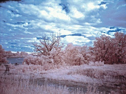 Инфракрасный взгляд на мир