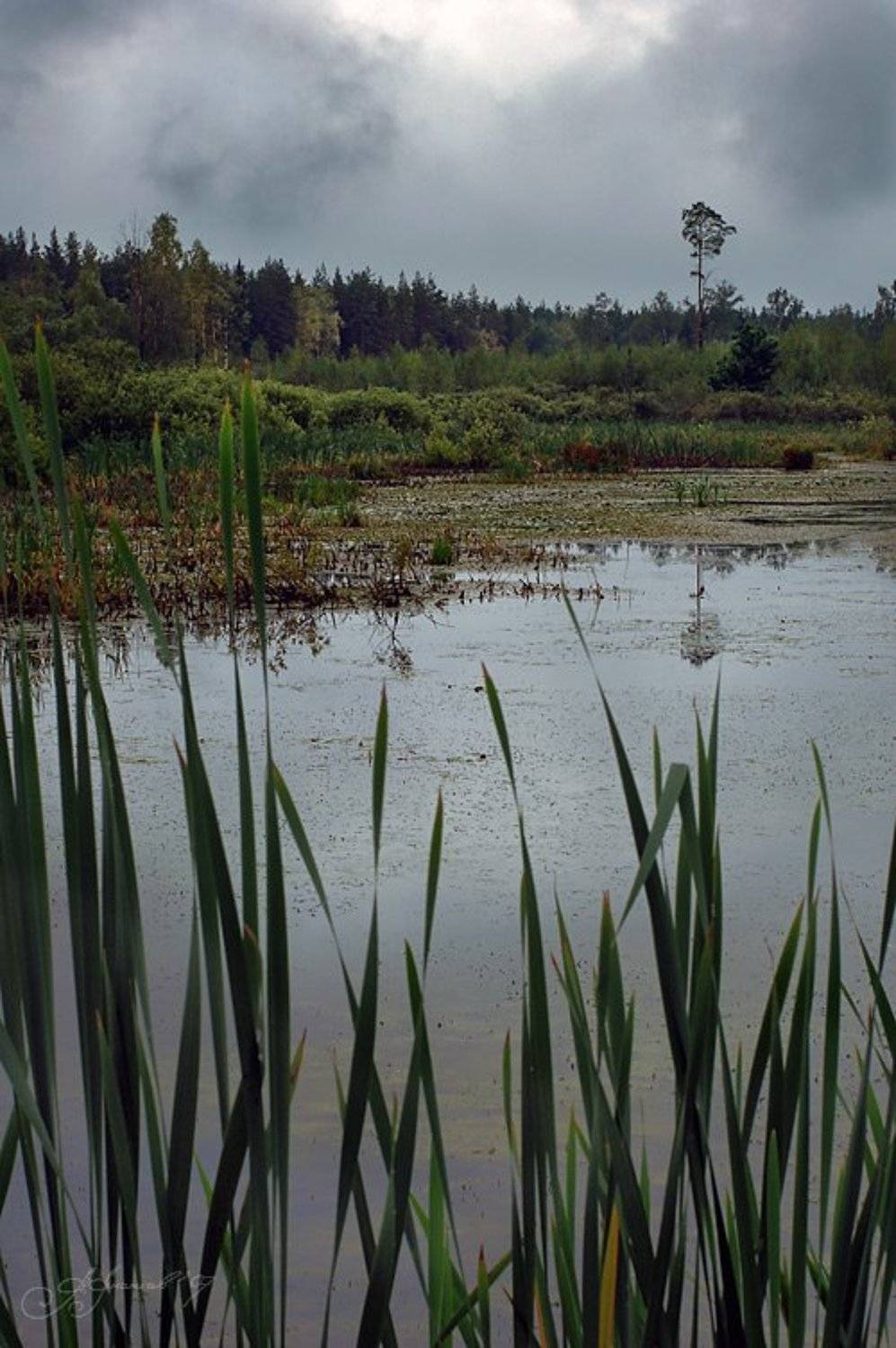 , Александр ЛАВРОВ