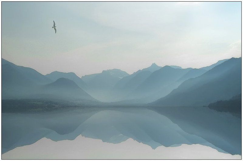 шутка кардиограмма Норвегии фото превью