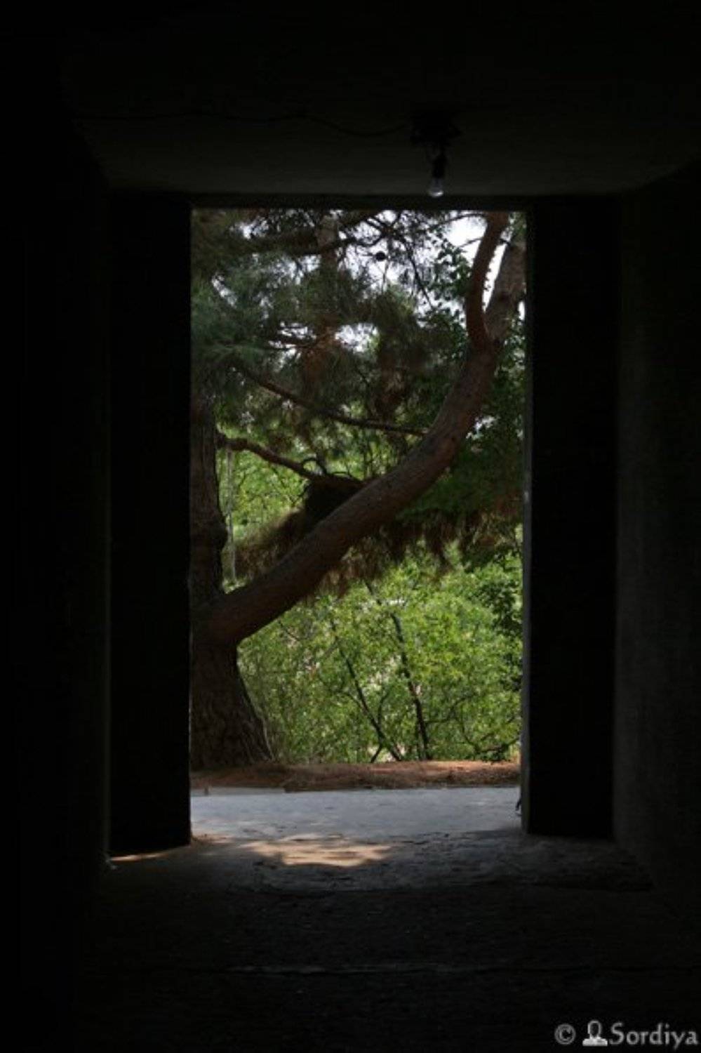 философская, Энси