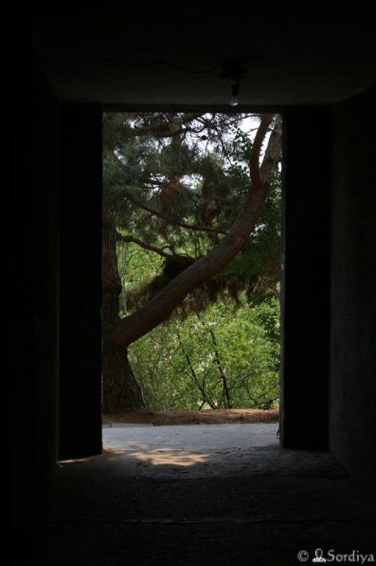 философская  фото превью