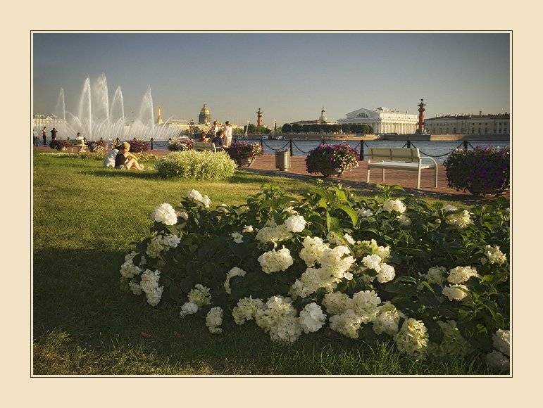 петербург,лето,теплый, вечер, Менькович Алексей