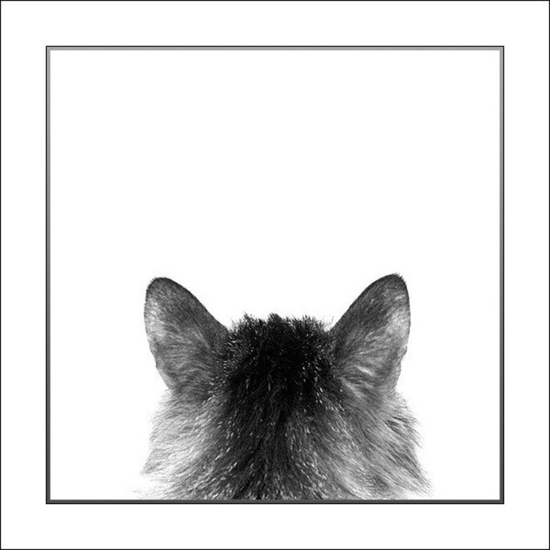 3rd person view фото превью