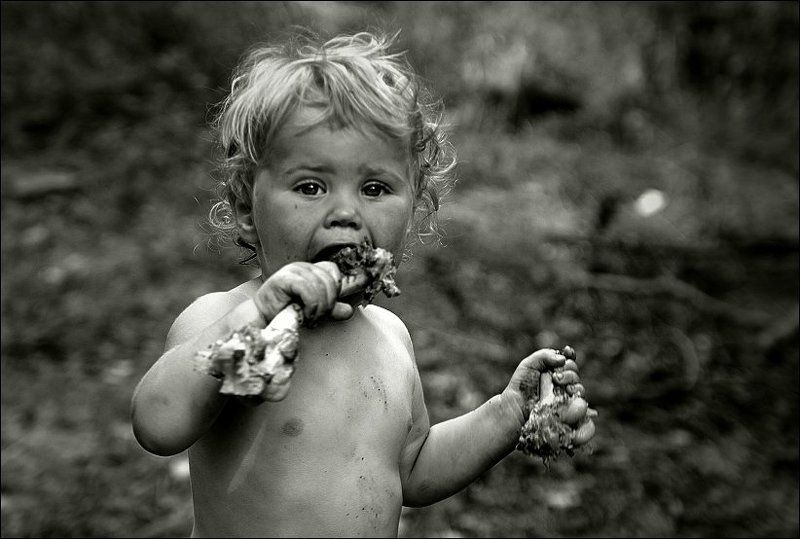 Хищник фото превью