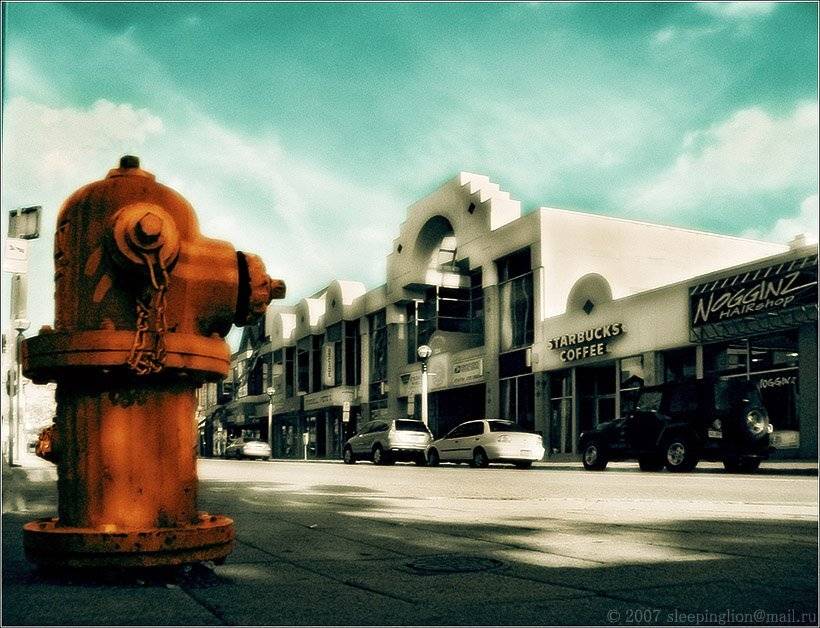 ик, пейзаж, infrared, инфракрасный, инфракрасное, pilgrim, Pilgrim